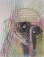 /album/kresba/ostrovid-jpg/